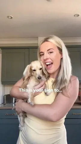 travelwithjoeandphe Instagram post about New puppy