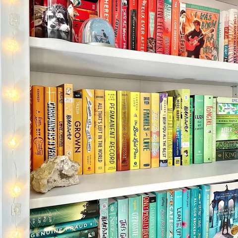 treatyoshelves17 Instagram post about Current media favorites