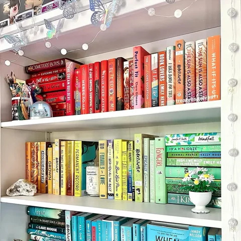 treatyoshelves17 Instagram post about Reading slump