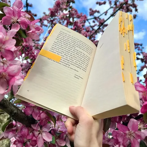treatyoshelves17 Instagram post about Current and recent reads
