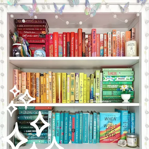 treatyoshelves17 Instagram post about Bookshelves