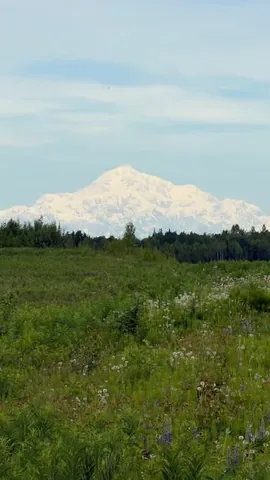 ttthefineprinttt Instagram post about Denali scenery