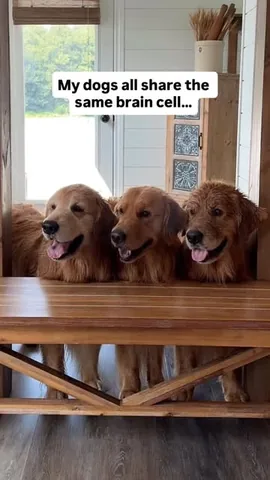 tuckerbudzyn Instagram post about Family resemblance