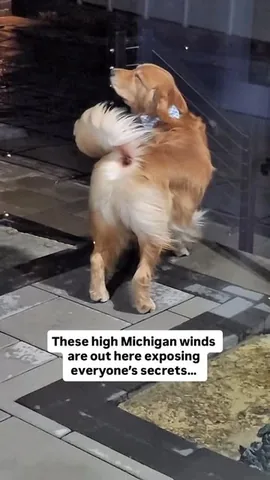 tuckerbudzyn Instagram post about Michigan wind humor