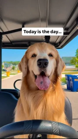 tuckerbudzyn Instagram post about Tucker book announcement