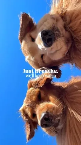 tuckerbudzyn Instagram post about Relaxation