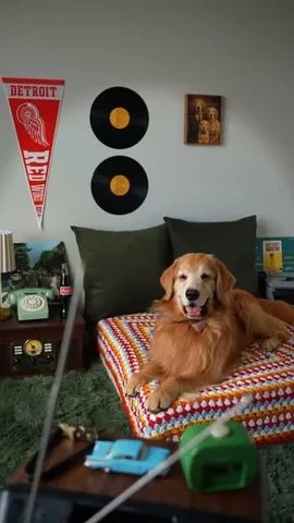 tuckerbudzyn Instagram post about Dog’s story