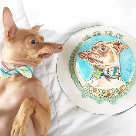 tunameltsmyheart Instagram post about Cake making contest