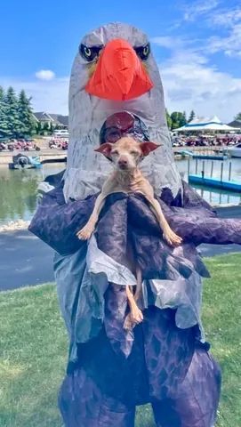 tunameltsmyheart Instagram post about Fourth of July celebration