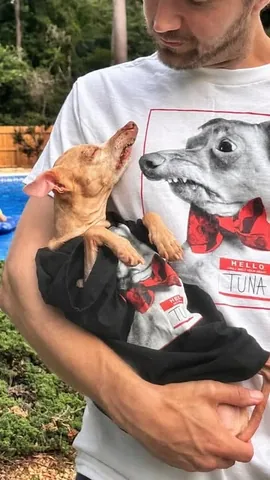 tunameltsmyheart Instagram post about T shirt promotion