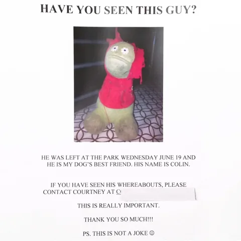 tunameltsmyheart Instagram post about Lost toy recovery story