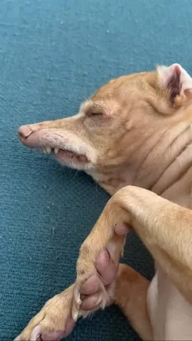 tunameltsmyheart Instagram post about Tuna’s name origin