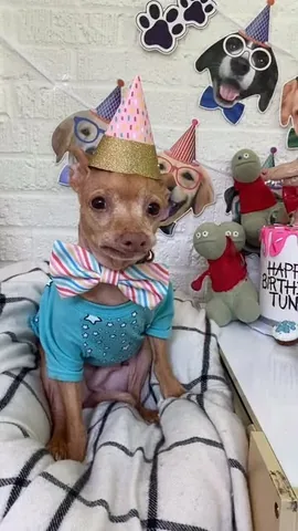 tunameltsmyheart Instagram post about Cake making contest