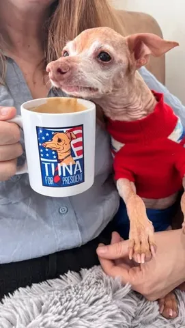 Tuna aka Phteven Instagram post thumbnail