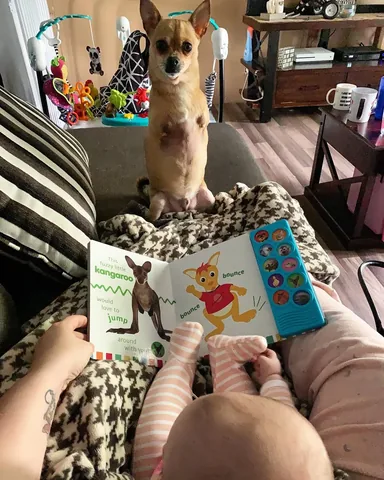 turboroo Instagram post about Human animal relationship