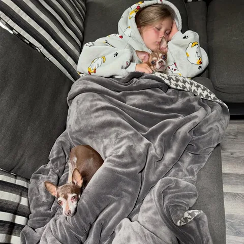 turboroo Instagram post about Pet appearance