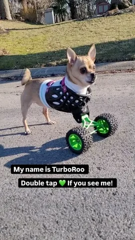 turboroo Instagram post about Unspecified emotional expression