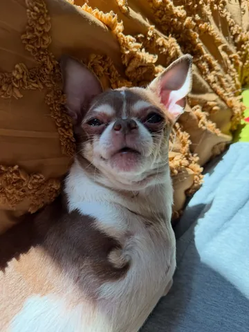 turboroo Instagram post about End of life quality of life