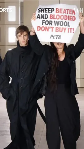 twinbrett Instagram post about Wool ethics and fashion materials