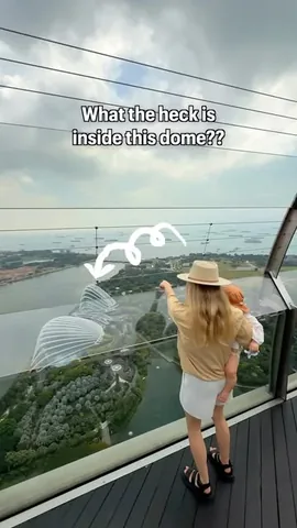 twosometravellers Instagram post about Cloud Forest Singapore