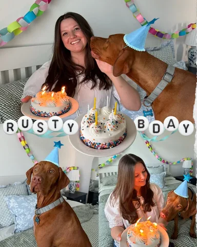 utterlymelanie Instagram post about Dog birthday
