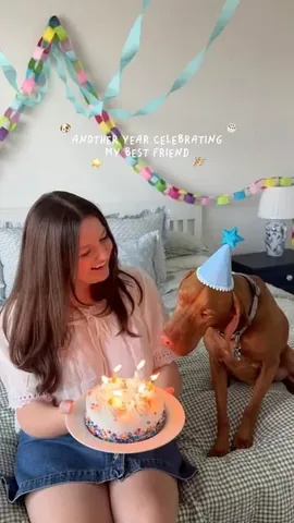 utterlymelanie Instagram post about Dog birthday
