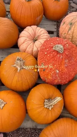 utterlymelanie Instagram post about October celebration