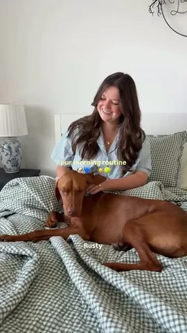utterlymelanie Instagram post about Dog accessories