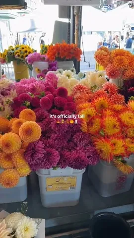utterlymelanie Instagram post about Autumn season