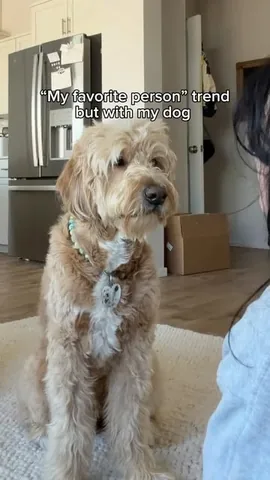 vitothedogfather Instagram post about Dog recognition reaction
