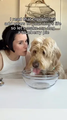 vitothedogfather Instagram post about Dog friendly recipe