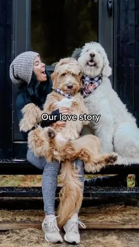 vitothedogfather Instagram post about Human dog relationship