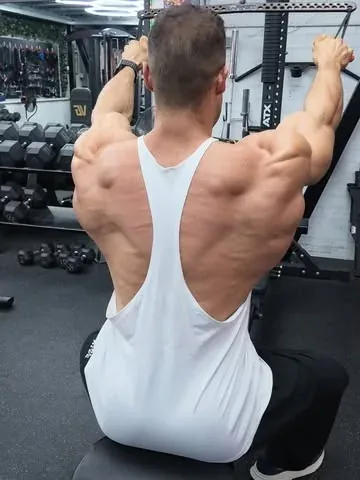wesleyvissers Instagram post about Gym Pin back training attachment