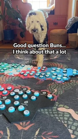 whataboutbunny Instagram post about Animal humor