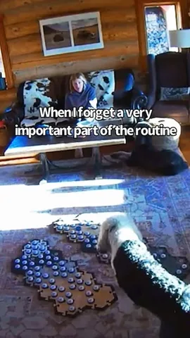 whataboutbunny Instagram post about Animal communication agency