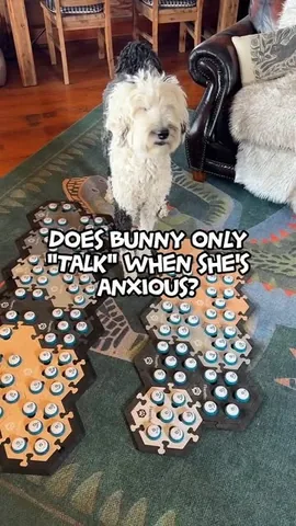 whataboutbunny Instagram post about Animal communication methods