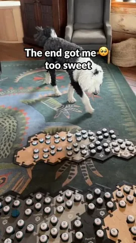 whataboutbunny Instagram post about Animal communication behavior