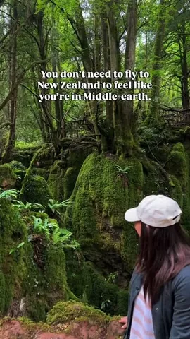 whatshotblog Instagram post about Puzzlewood literary and filming location
