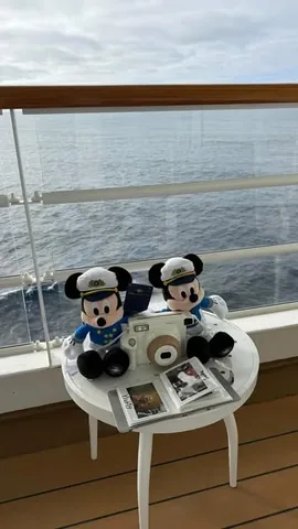 whitneyjco Instagram post about Disney souvenir idea