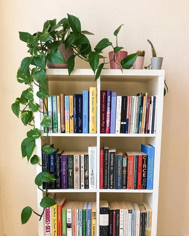 wildlandpages Instagram post about Book display and current read
