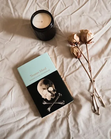 wildlandpages Instagram post about Pirate fiction