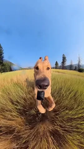 willys360world Instagram post about Behind the scenes