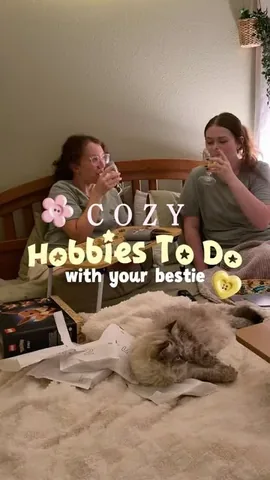 wisteriem Instagram post about Shared hobbies with a sister