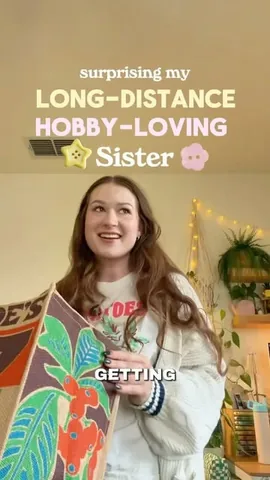 wisteriem Instagram post about Surprising a sister with hobbies