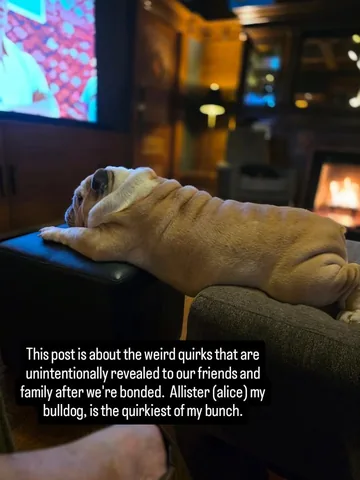 wolfgang2242 Instagram post about Pet relationships