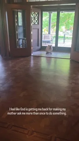 wolfgang2242 Instagram post about Unspecified video