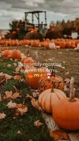 womanon Instagram post about Cozy season anticipation