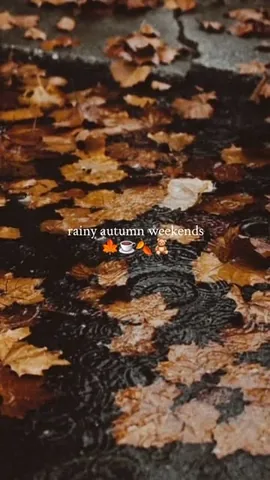 womanon Instagram post about Rainy autumn atmosphere