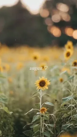 womanon Instagram post about August plans and reading