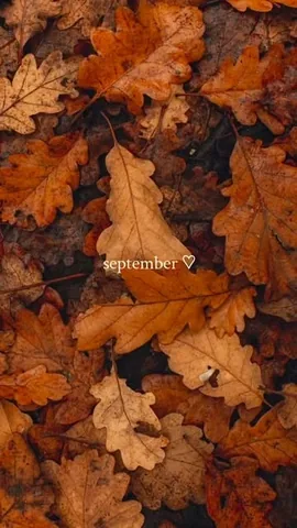 womanon Instagram post about Fall anticipation